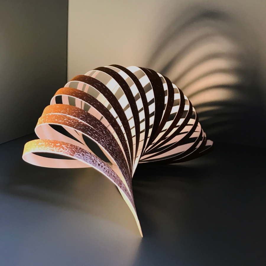 'Spiral Shell' - Paper sculpture (Available as Fine Art print)