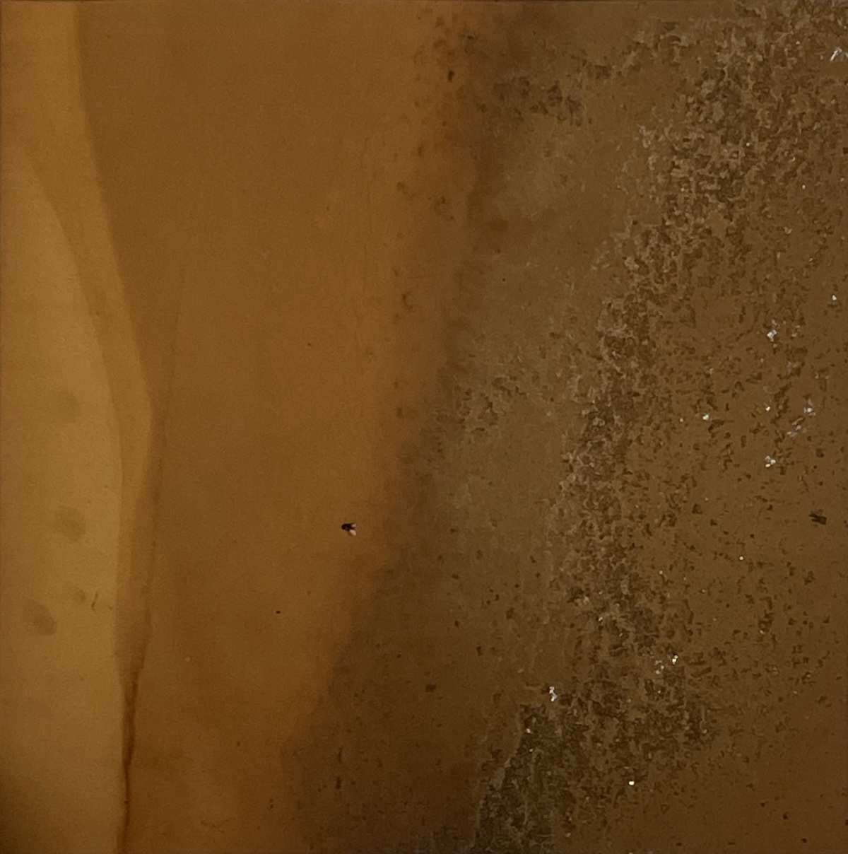 'Untitled', Eko-print (Alkottar) på papper (11 x 11 cm)