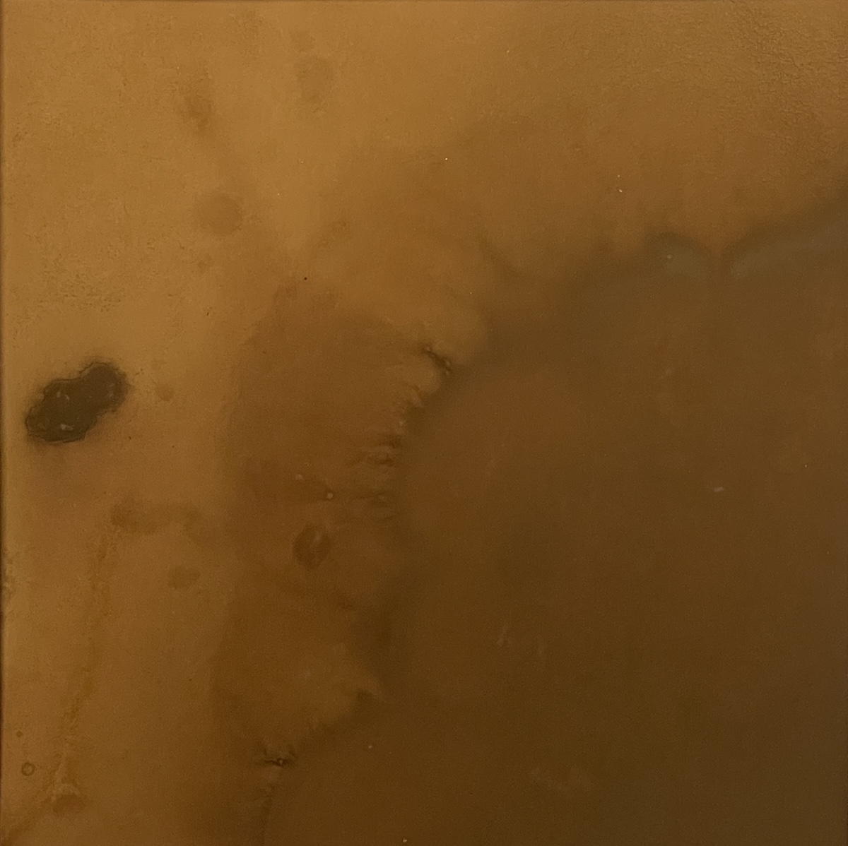 'Untitled', Eko-print (Alkottar) på papper (11 x 11 cm)